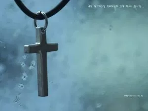 Bible Testimonies