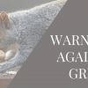 Warning Against Greed | Luke 12:13-21
