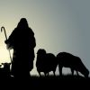 BE SHEPHERDS OF THE CHURCH OF GOD