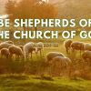 Be Shepherds of the Church of God | Acts 20:1-38