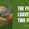 The Five Loaves and Two Fish | John 6:1-13