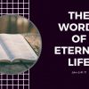 The Words of Eternal Life | John 6:41-71 #livingbread #breadoflife