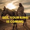 See, Your King is Coming | John 12:1-19