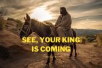 See, Your King is Coming | John 12:1-19