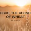 Jesus, the Kernel of Wheat | John 12:20-50