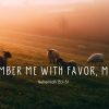 Remember Me with Favor, My God | Nehemiah 13:1-31