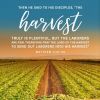 The Harvest Is Plentiful; The Workers Are Few