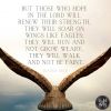 THOSE WHO HOPE IN THE LORD