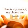 Behold My Servant